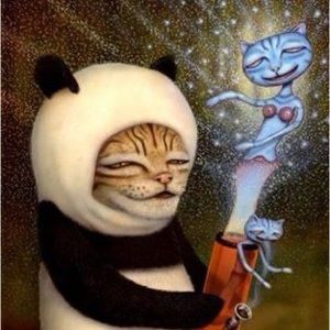 Meet your Posher, Gatu